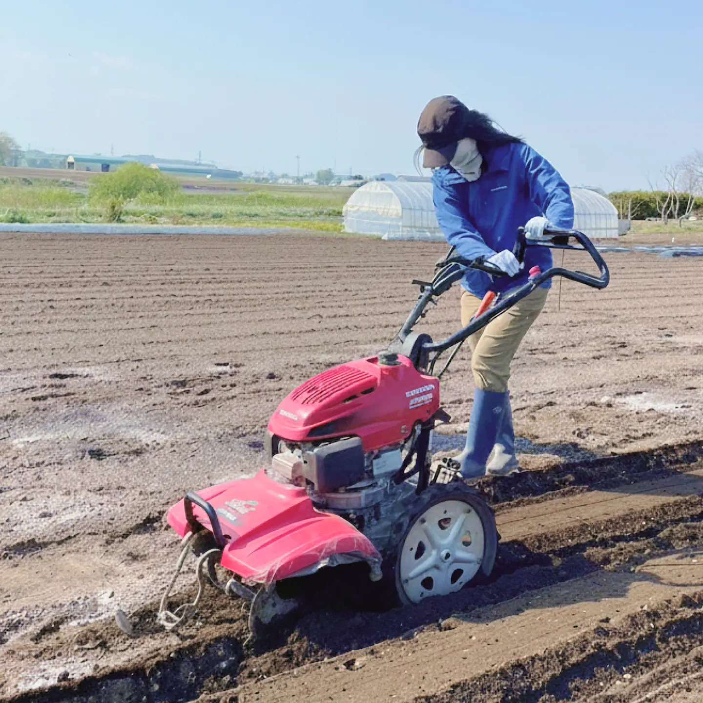 Field research on a farm